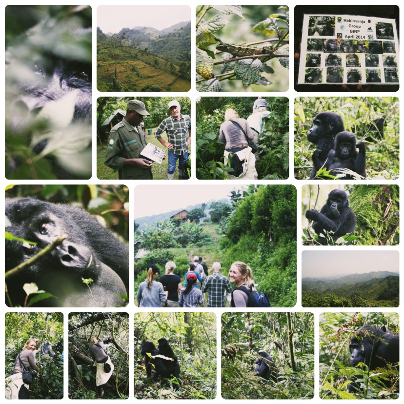 Uganda Collage Uganda