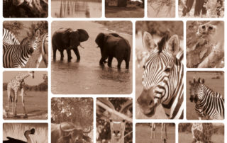Botswana