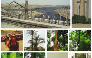 Ägypten Nilkreuzfahrt